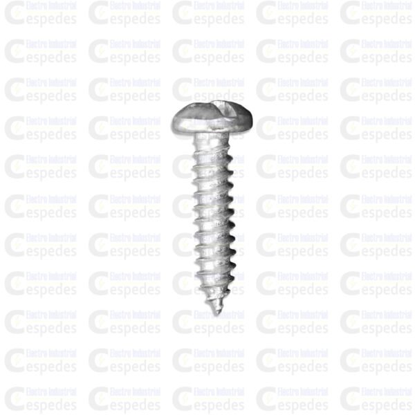AUTORROSCANTE PAN 12X1-II TORNILLO AUTORROSCANTE PAN 12mm