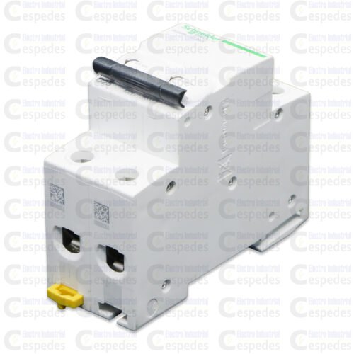 INTERRUPTOR TERMOMAGNÉTICO 2X32A RIEL IK60N -SCHNEIDER