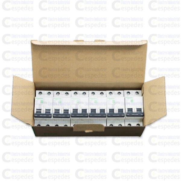 INTERRUPTOR TERMOMAGNÉTICO 2X25A EASY9-SCHNEIDER