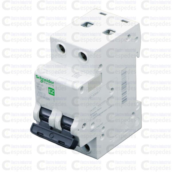 INTERRUPTOR TERMOMAGNÉTICO 2X25A EASY9-SCHNEIDER
