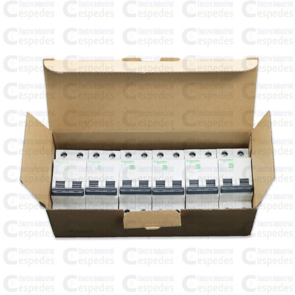 INTERRUPTOR TERMOMAGNÉTICO 2X16A RIEL EASY9-SCHNEIDER