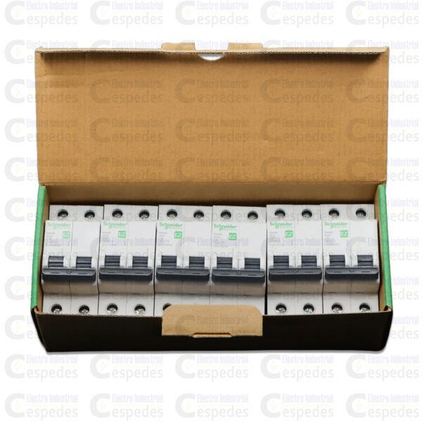 INTERRUPTOR TERMOMAGNÉTICO 2X40A EASY9-SCHNEIDER