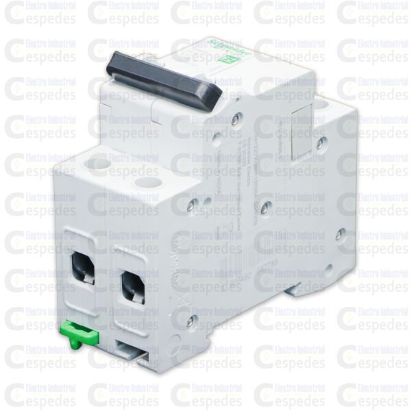 INTERRUPTOR TERMOMAGNÉTICO 2X50A RIEL EASY9-SCHNEIDER