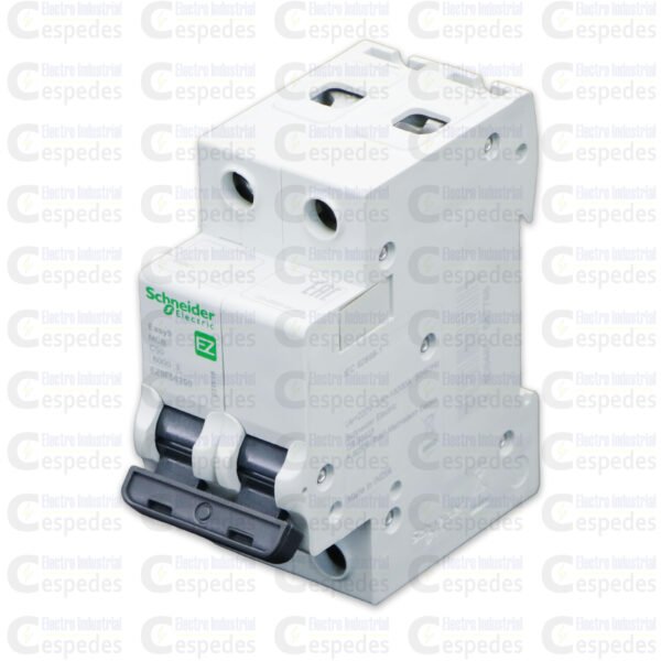 INTERRUPTOR TERMOMAGNÉTICO 2X50A RIEL EASY9-SCHNEIDER