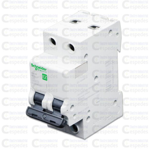 INTERRUPTOR TERMOMAGNÉTICO 2X63A RIEL EASY9-SCHNEIDER
