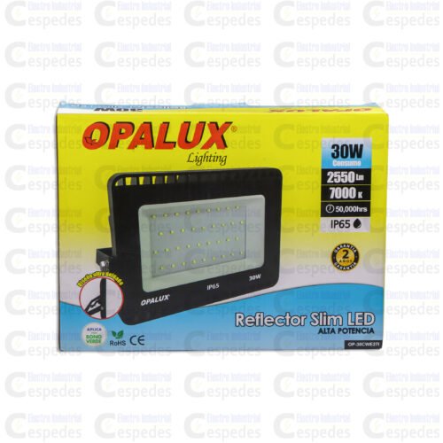 REFLECTOR LED 30W-LUZ DÍA